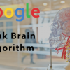 Google RankBrain và những tác động lên SEO