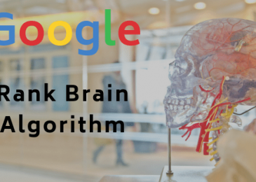 Google RankBrain và những tác động lên SEO