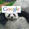 Thuật toán Panda ảnh hưởng thế nào tới website